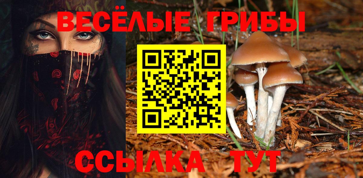 Галлюциногенные грибы ЛСД Каменск-Уральский