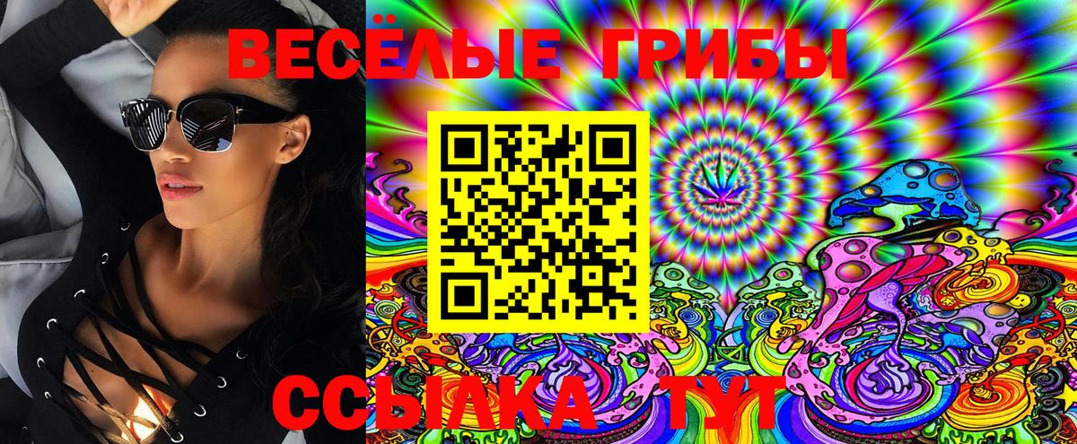 Галлюциногенные грибы Psilocybine cubensis  Галлюциногенные грибы мицелий  Вход с VPN  Каменск-Уральский 